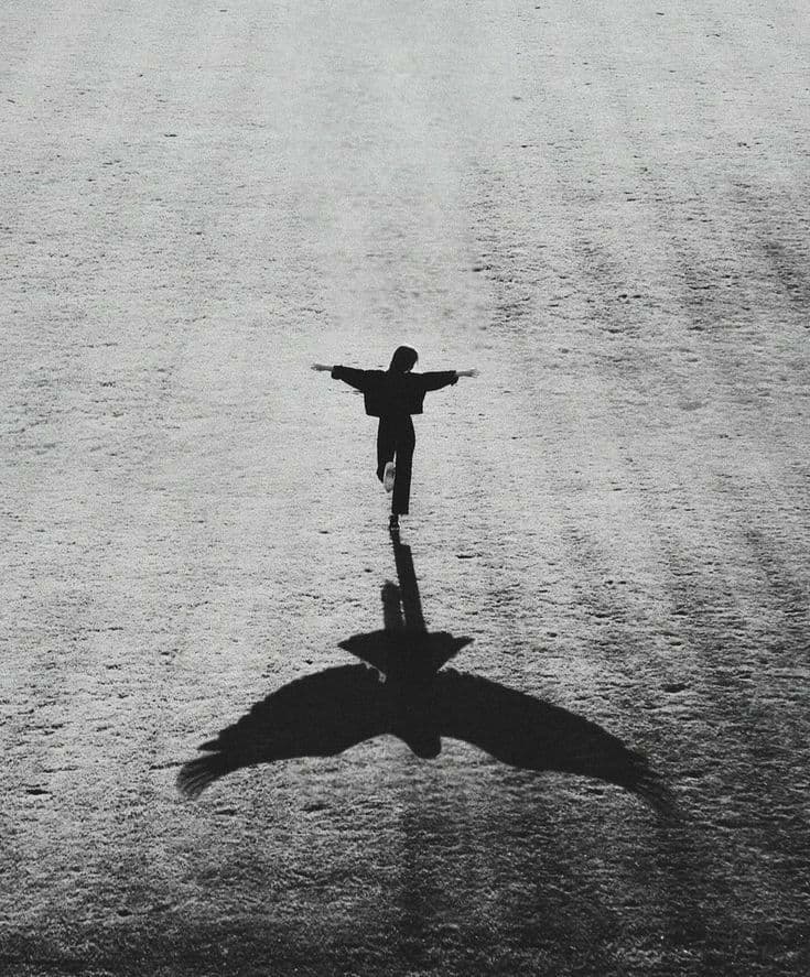 Detachment Without Escaping Life: The Real Meaning of Non-Attachment