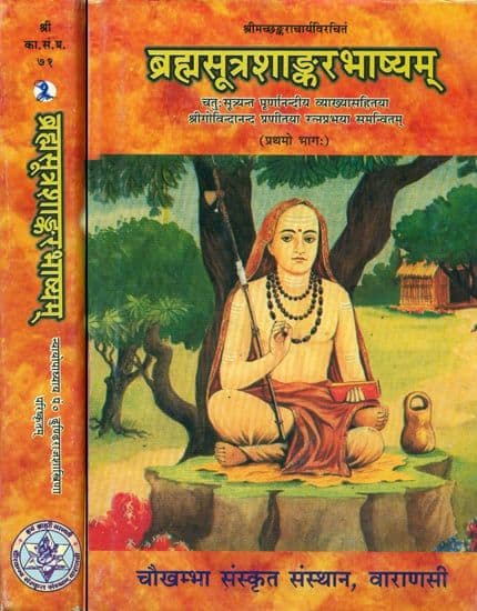 Brahma Sutra Bhashya: Decoding the Bhashyakara's Method